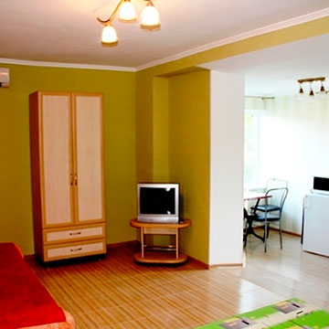 1-комнатная квартира (Новый Свет)