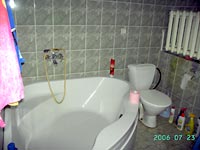 Санузел с ванной и душем-кабинкой