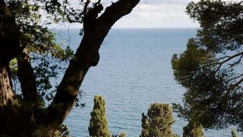 2-комнатный 2-местный «Люкс», отделение «Морской прибой», дача «Чайка», вид из номера