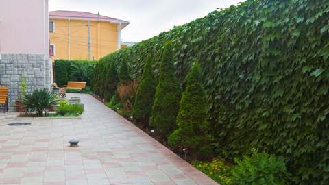 Дорожка вдоль корпусов 1 и 2