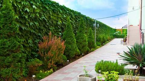 Дорожка вдоль корпусов