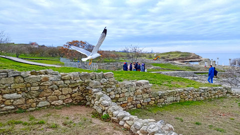Херсонес Таврический
