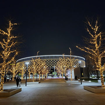 Экскурсионный тур «Новогодний Краснодар»