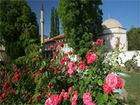 Розы в Бахчисарайском ханском дворце